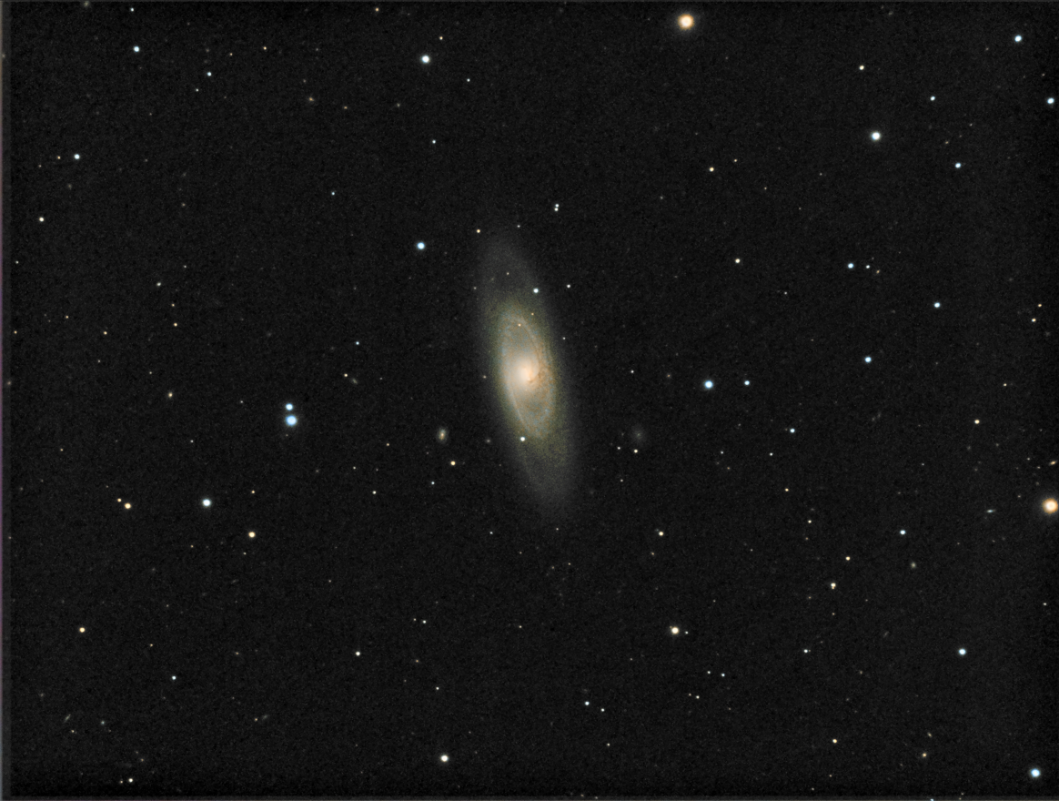 NGC4274_Dark_Flat_RGB_Align_RunMean_DBE_pLRGB_gray_usm.png