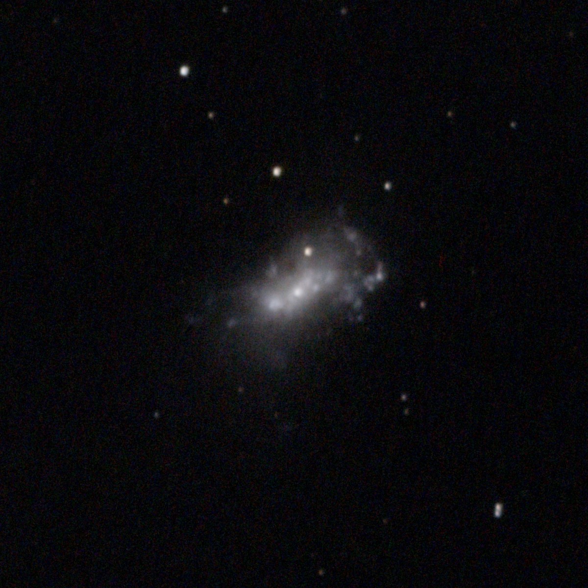 NGC4449 50x30s Apo102f7 ASI676 gain 120  crop.jpg