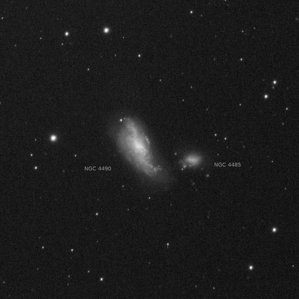 NGC4490 21x30s Apo102f4 ASI676MM gain 120 cropresized.jpg
