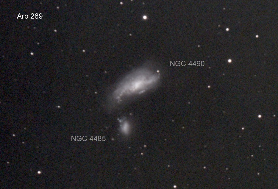 NGC4490 C8f7 ASI294bin2_56frames_896s_cropresized.jpg
