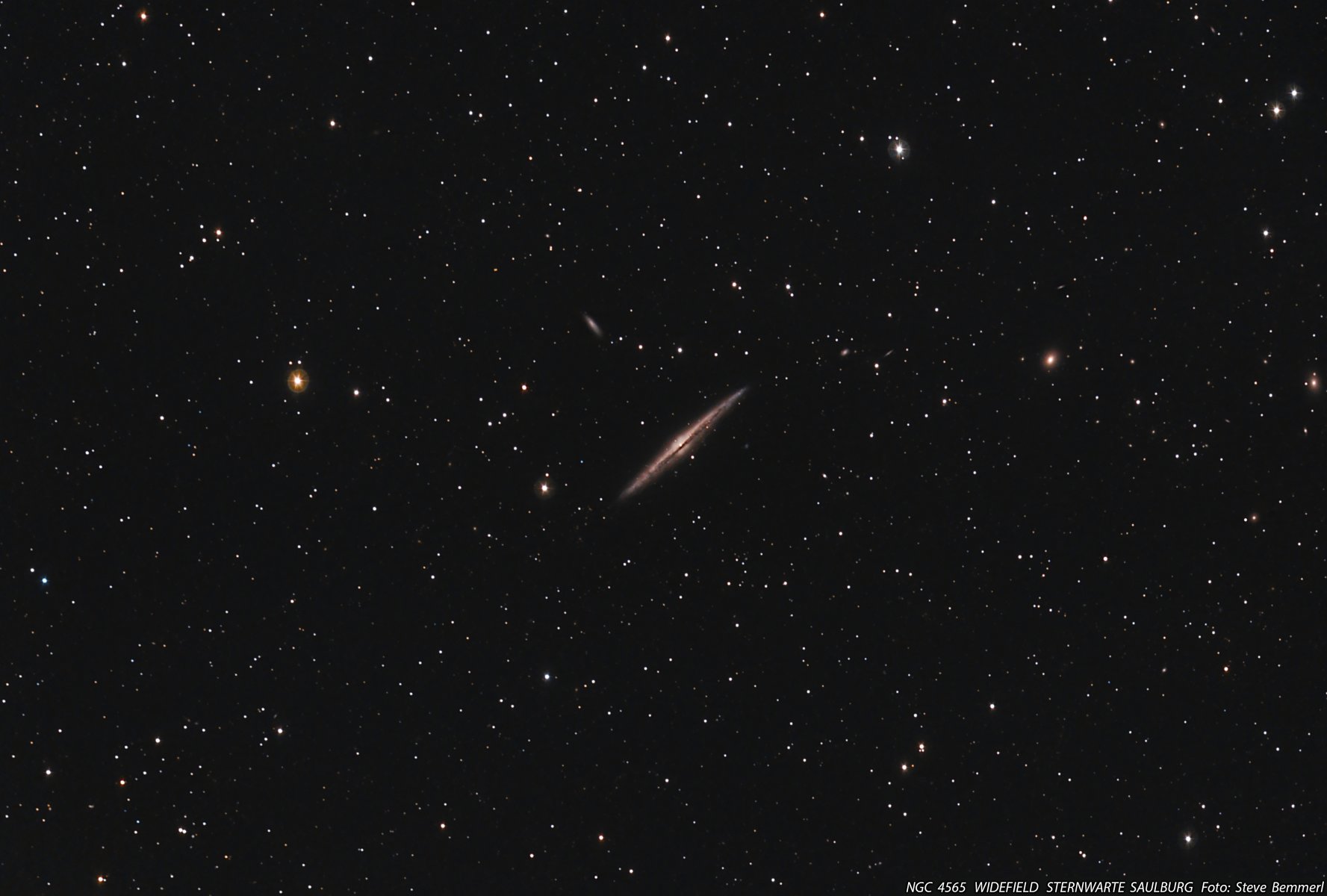 NGC4565 Widefield.jpg