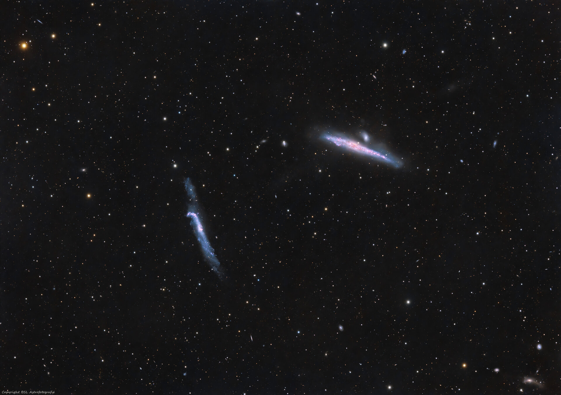NGC4631_The HockeyWhale_20250517_Compress.jpg
