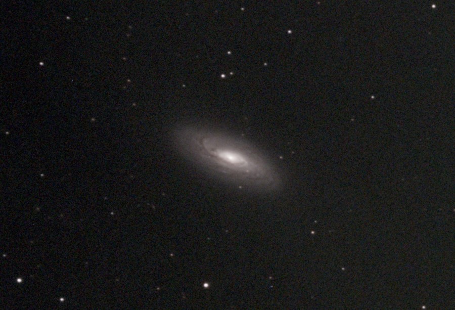 NGC5005 C8f7ASI294bin1_61frames_976s_dropresized.jpg