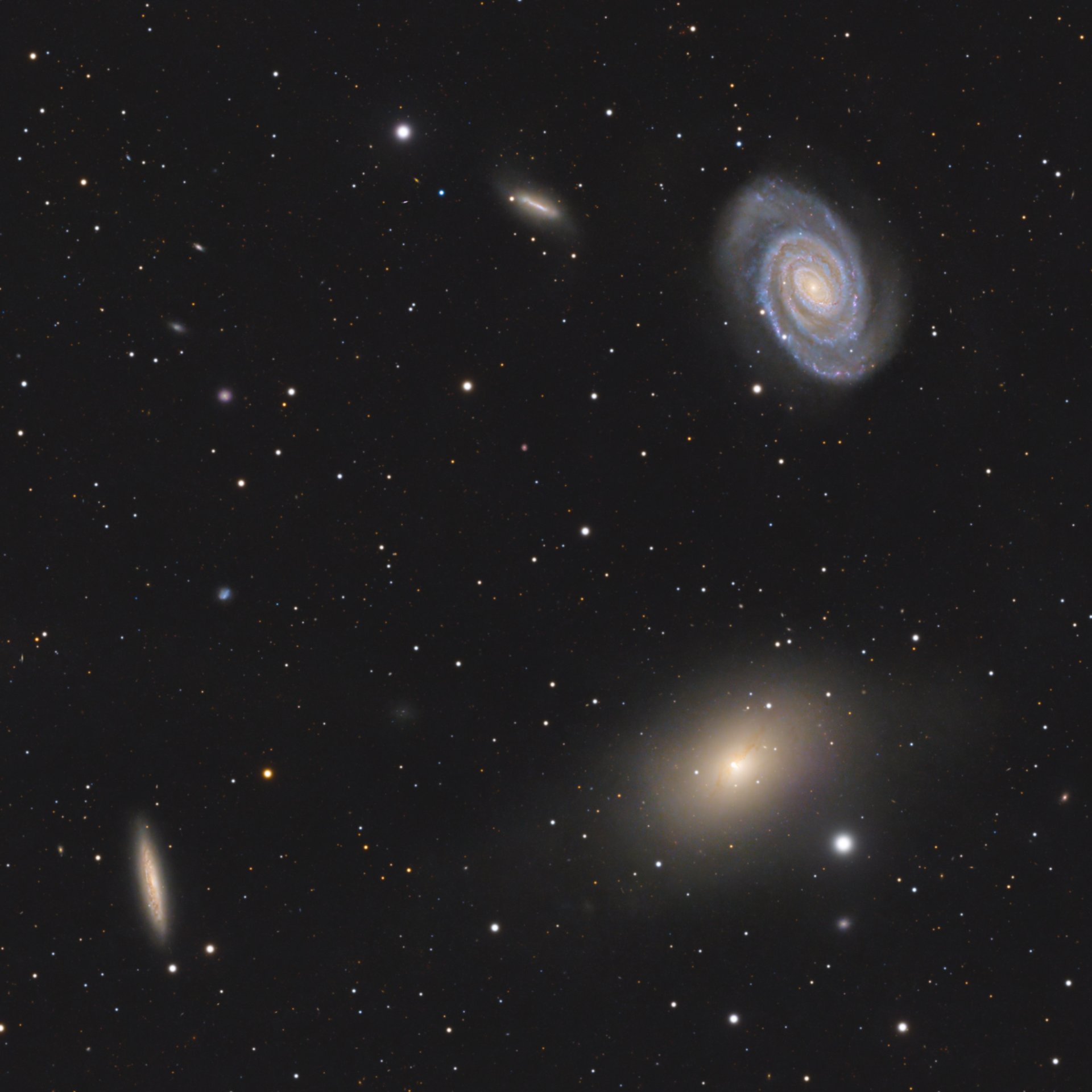 NGC5363_5317_5360_5356_LGG362_Crop_01.jpg
