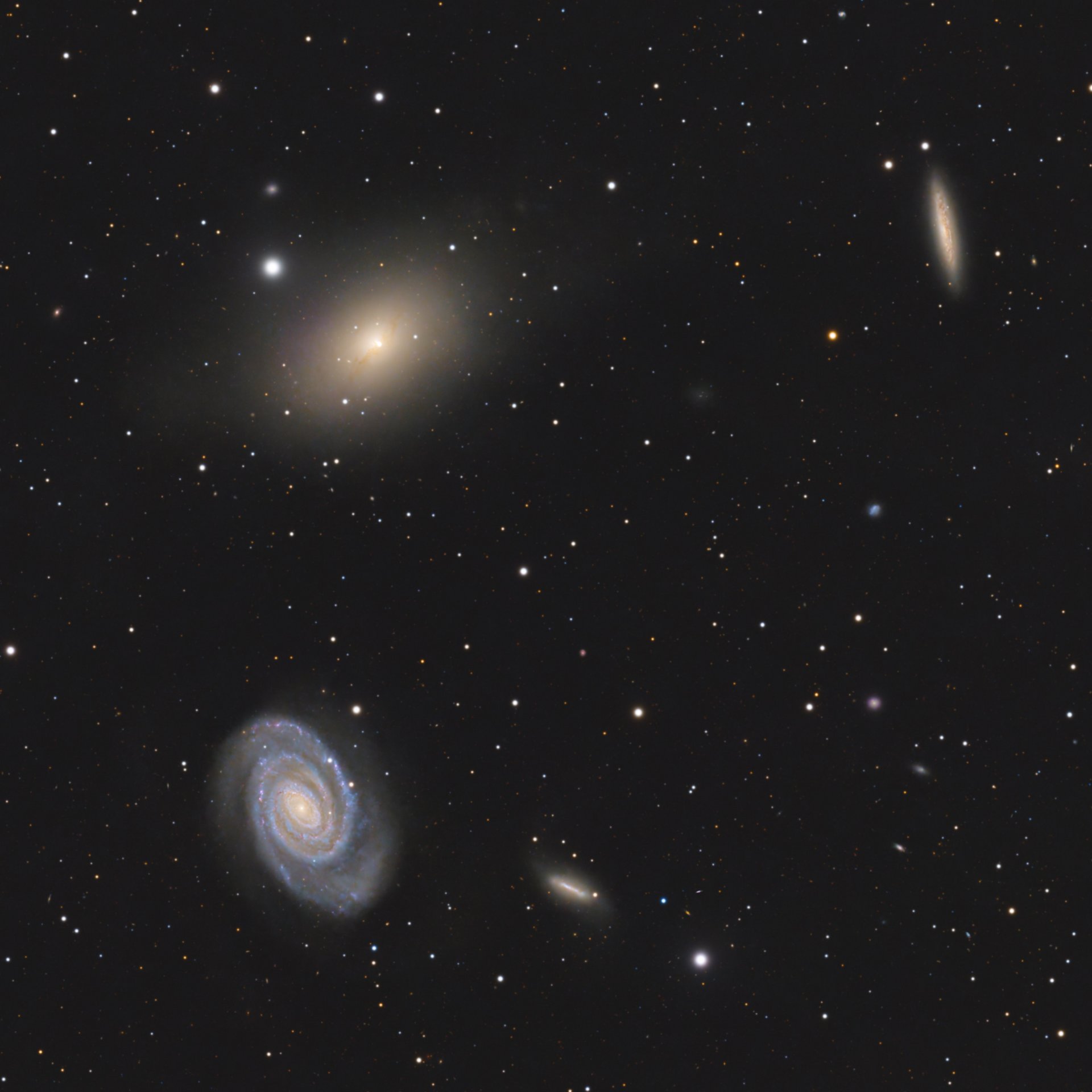 NGC5363_5317_5360_5356_LGG362_Crop_01.jpg