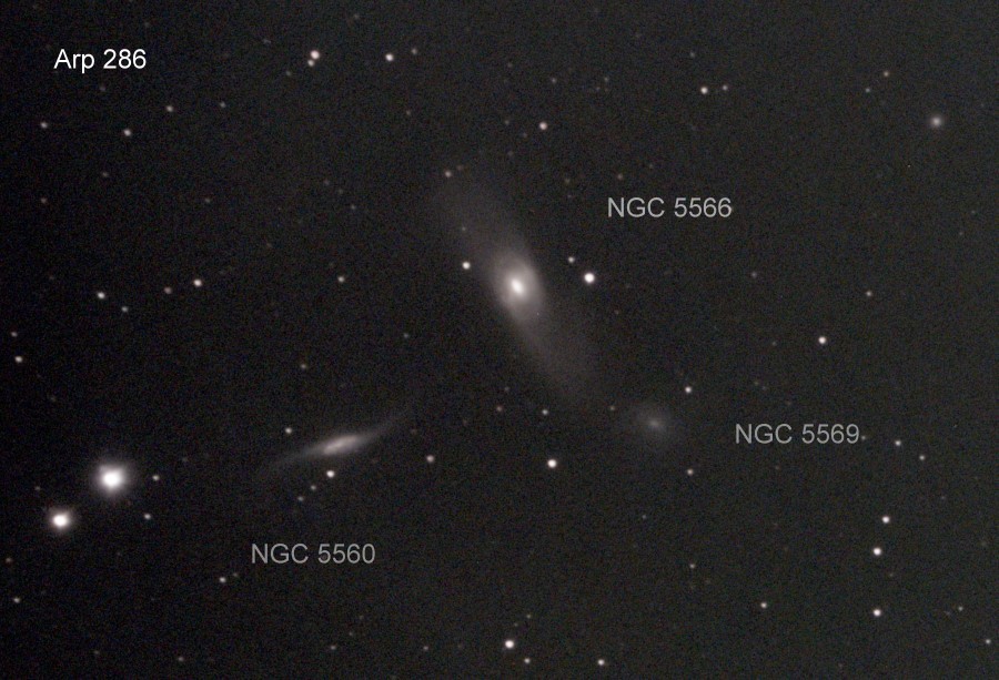 NGC5566 C8f7ASI294bin1_77frames_1232s_cropresiezed.jpg