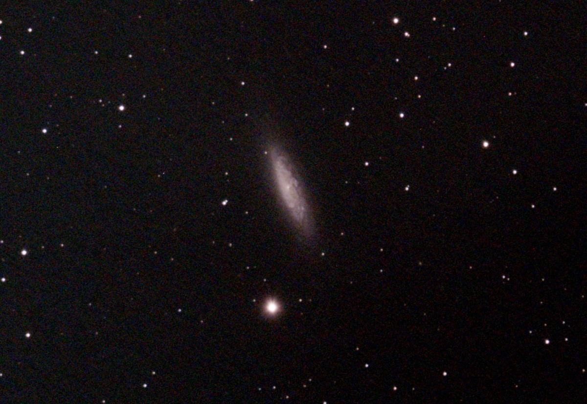 NGC6503 C8f7ASI294_38frames_608s_cropresized.jpg