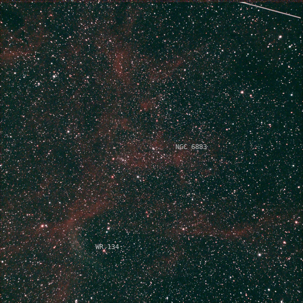 NGC6883 unguided Apo102f4 ASI533MC gain120 resized ANNOT.jpg