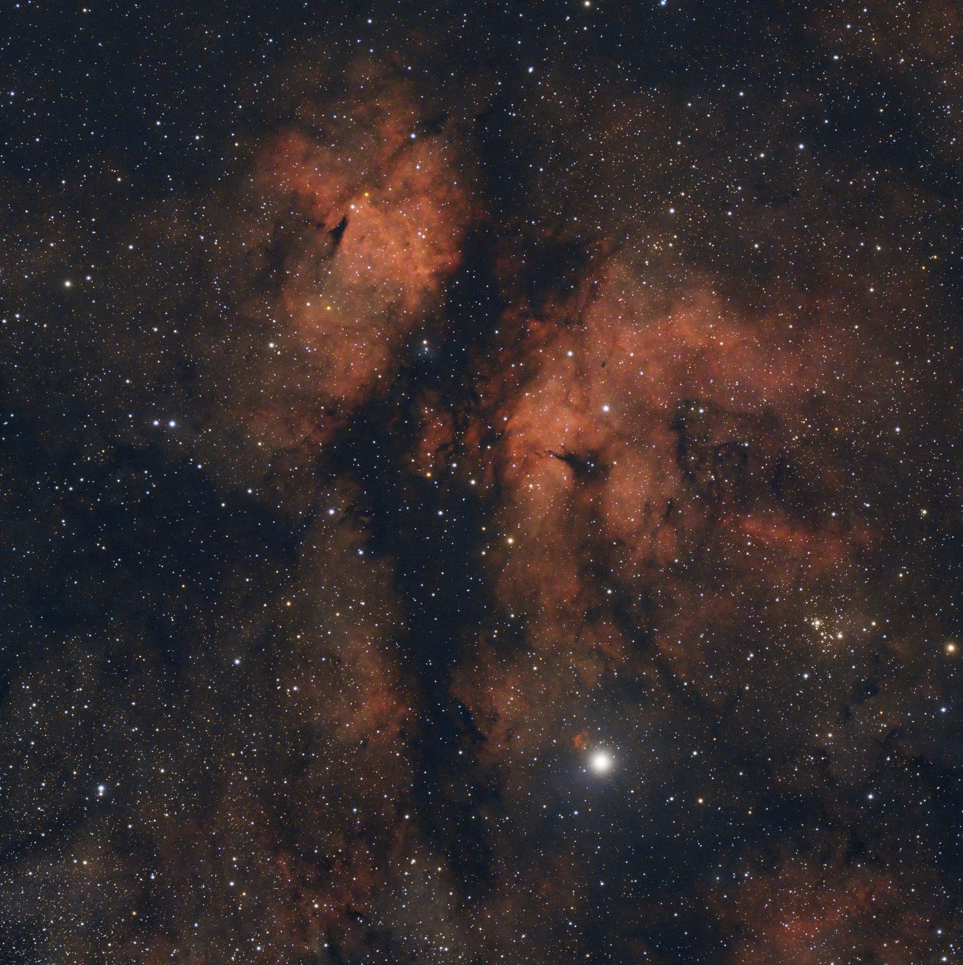 NGC6910_final2.jpg