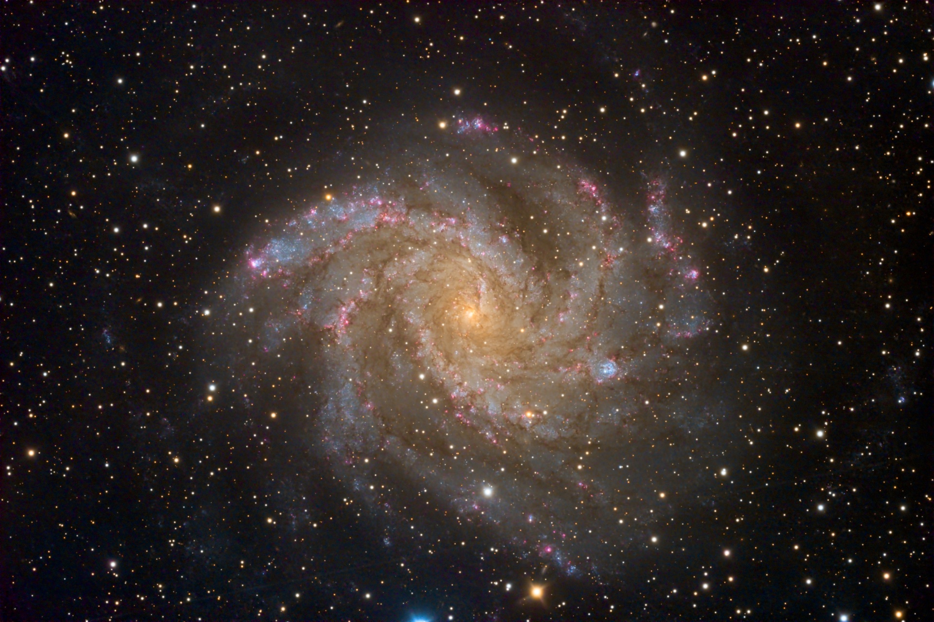 NGC6946_20240718.jpeg