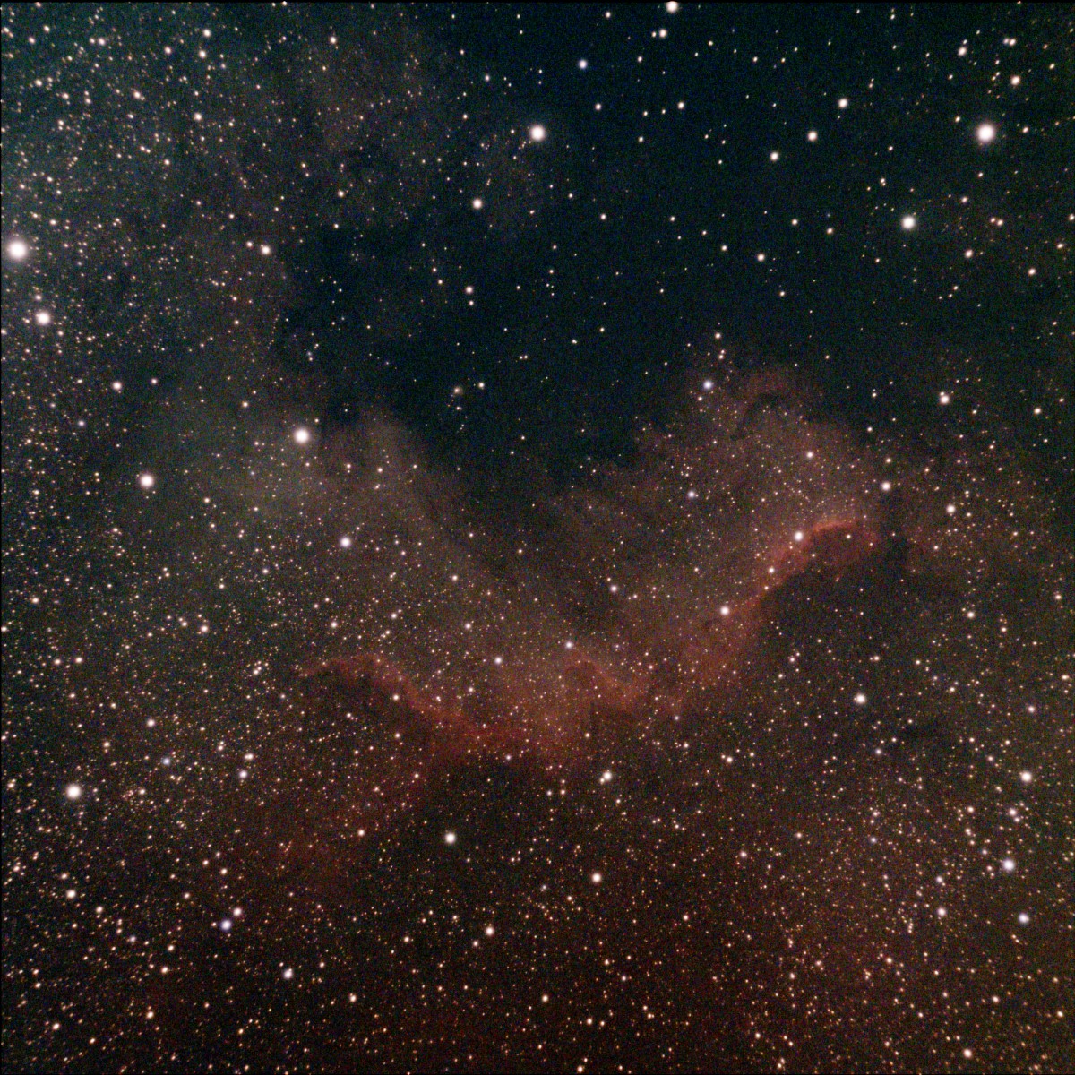 NGC7000 OlifASI533UHC_33frames_660s_resized.jpg