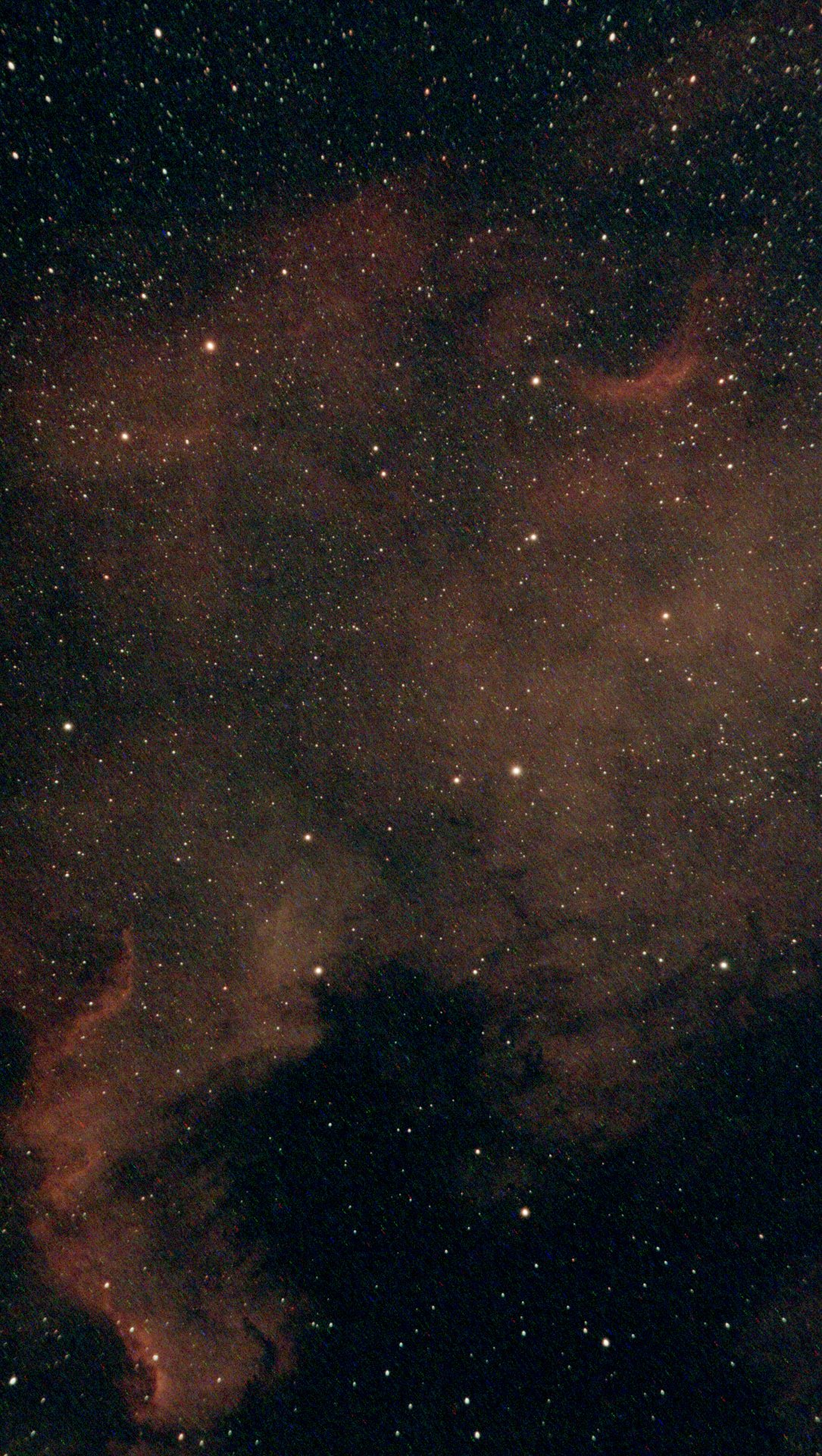 NGC7000_98frames_980s_WithDisplayStretch.jpeg