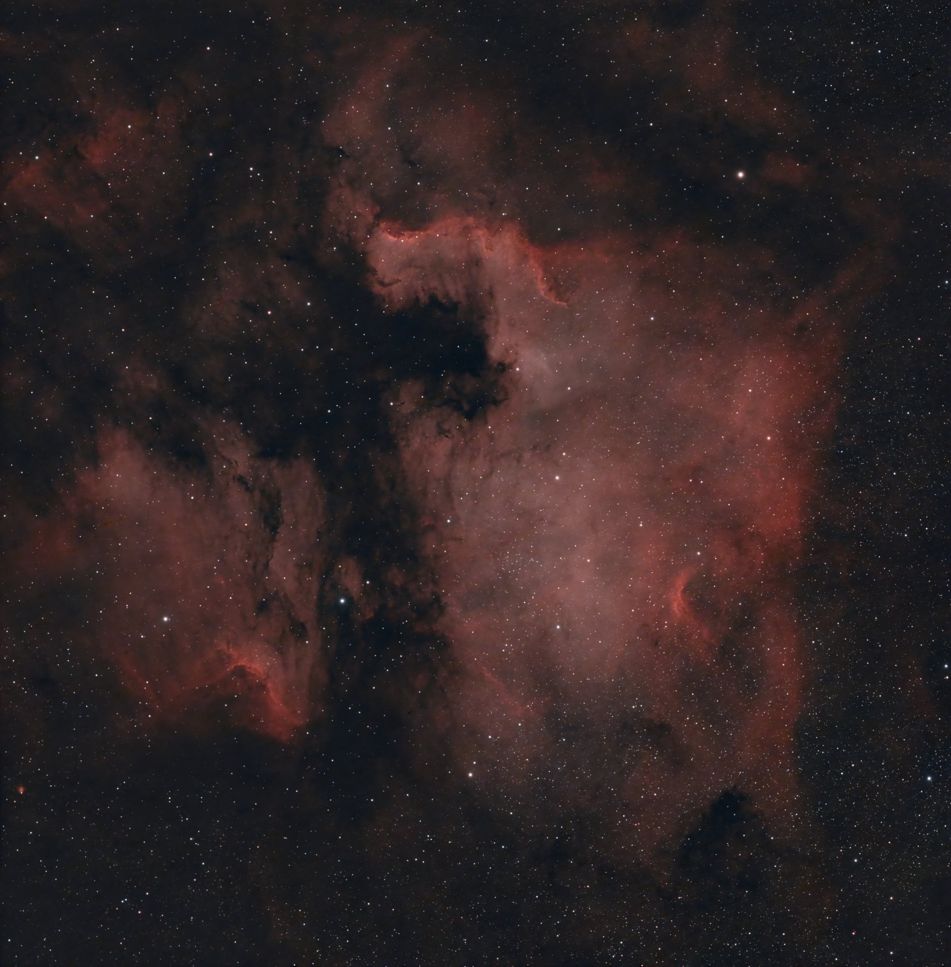NGC7000_Askar_NBZII_93min.jpg