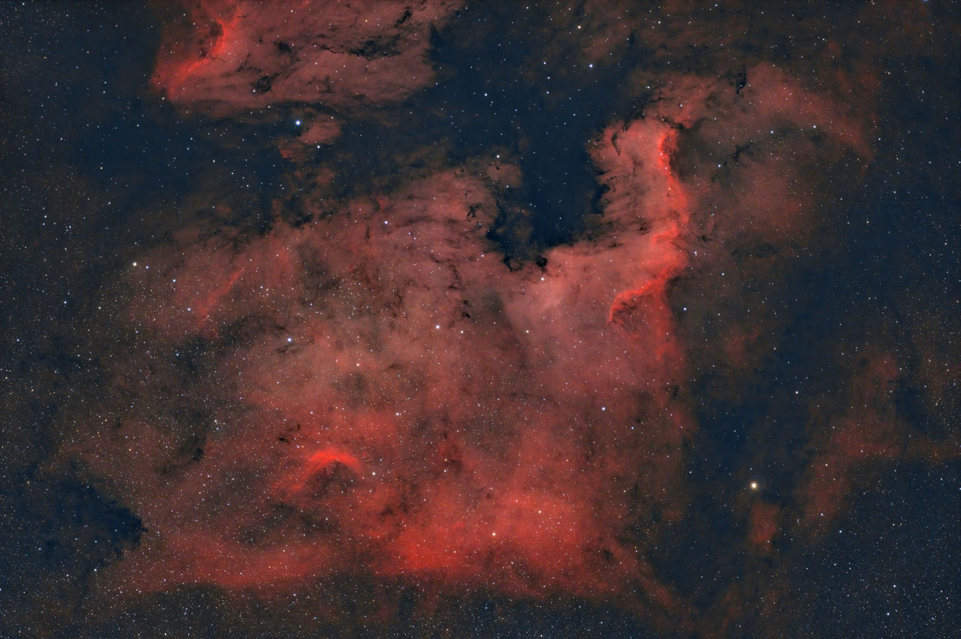 NGC7000_L_eXtreme_RGB_Stars_Angepasst_Forum.jpg