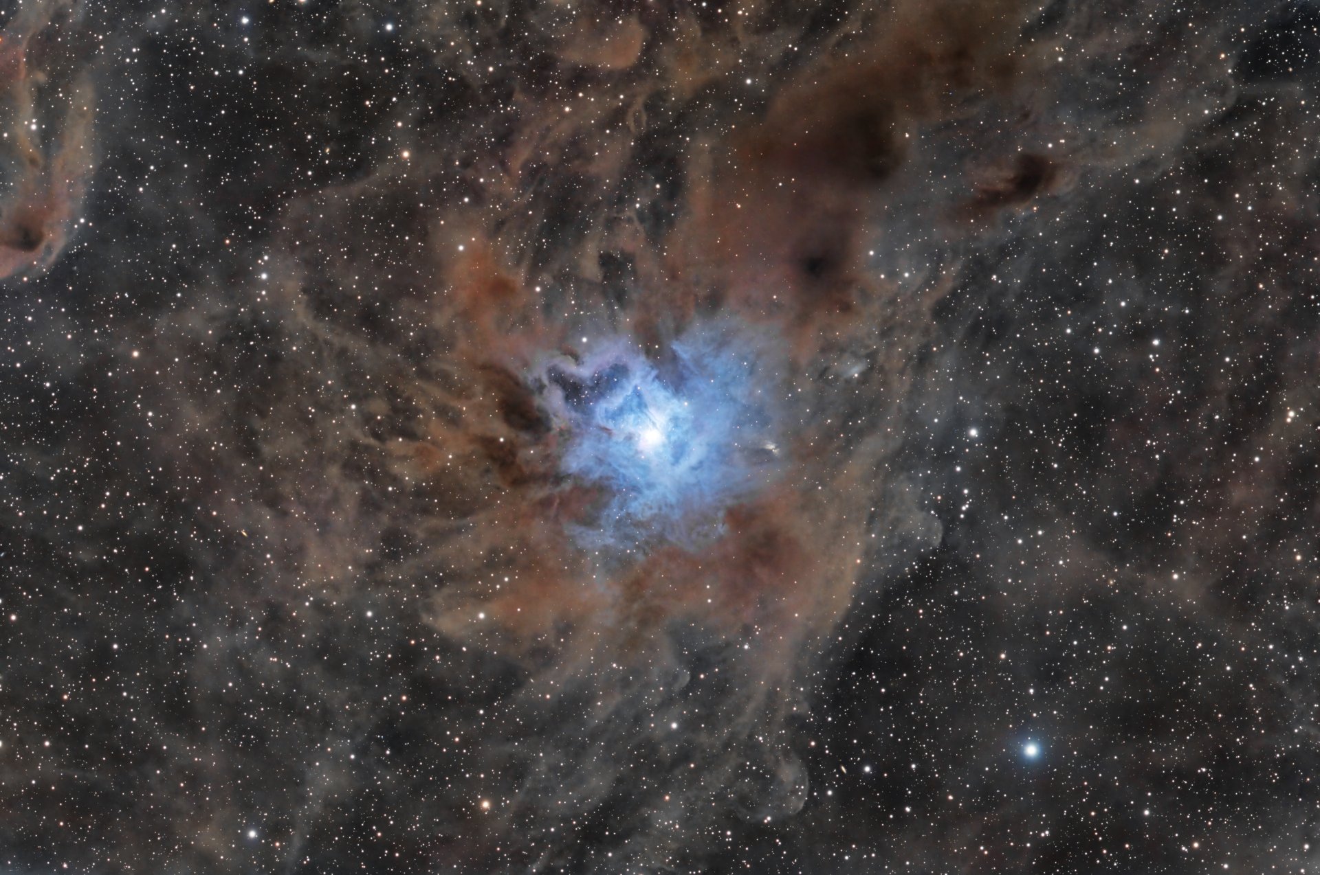 NGC7023 klein.jpg