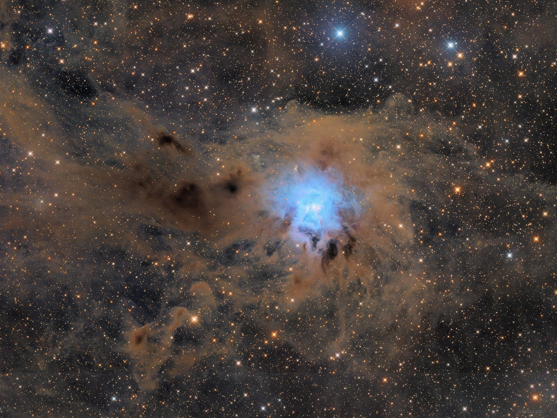 NGC7023 vdb141 2.jpg
