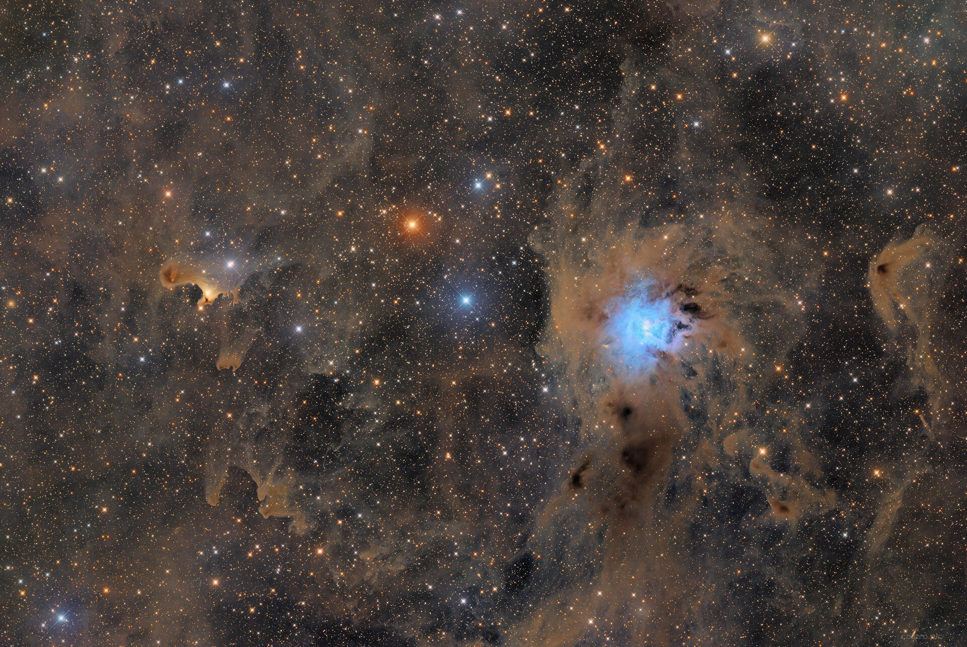 NGC7023 vdb141.jpg