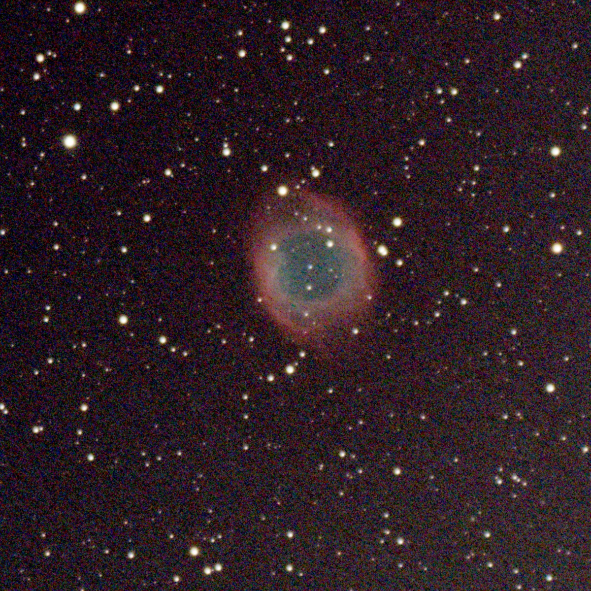 NGC7293 EvoG ASI533_20frames_640s_crop.jpg