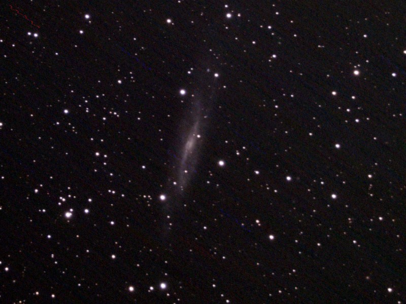 NGC7640 C8f6ASI294_100frames_1600s_cropresized.jpg