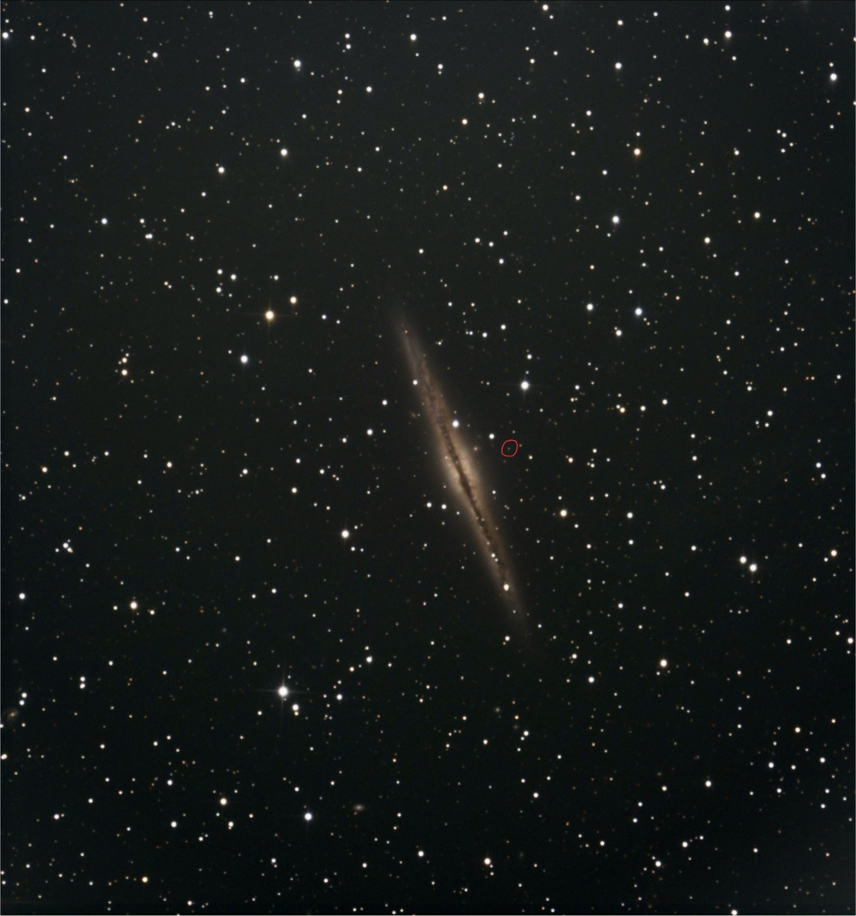 NGc891.jpeg