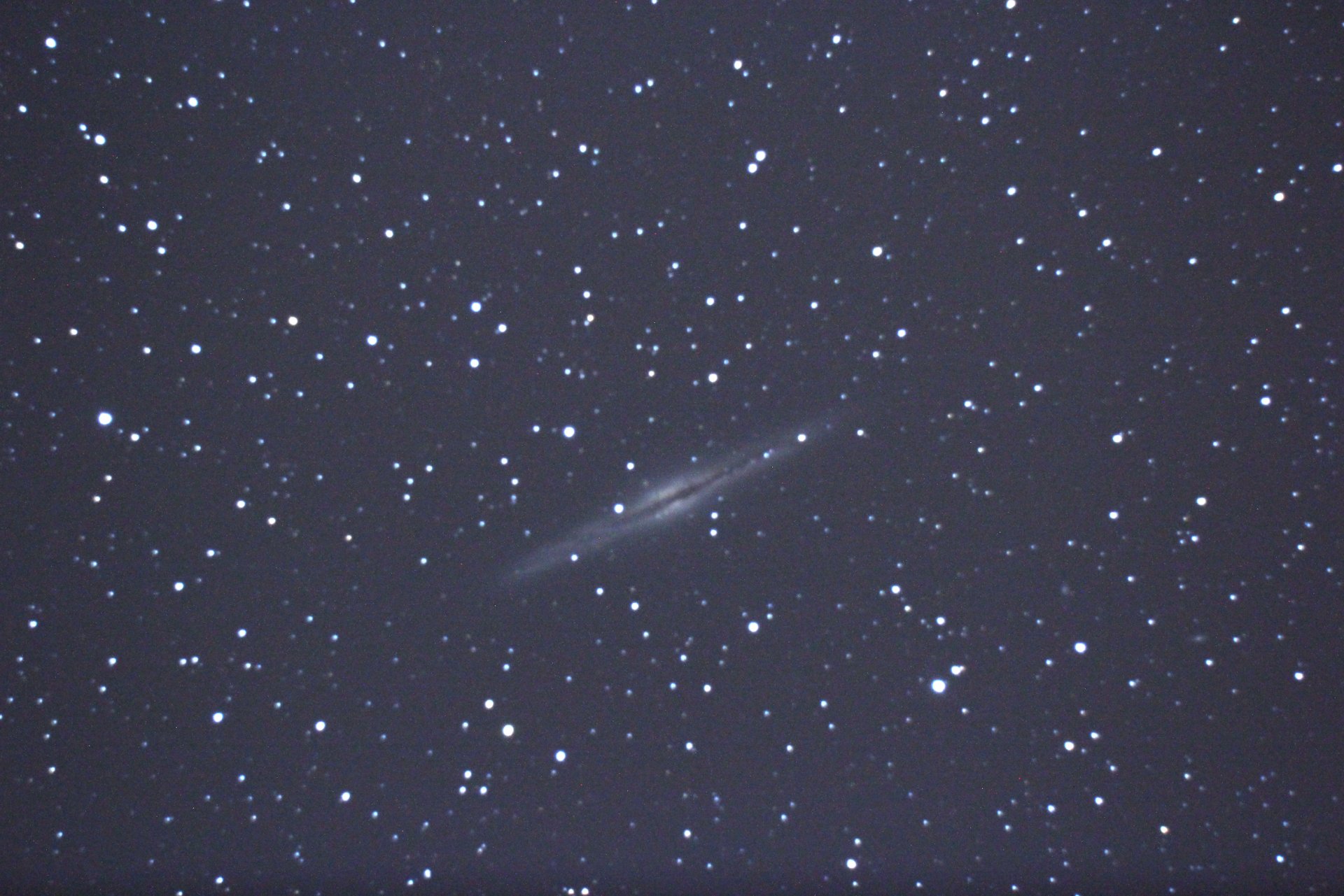 ngc891-web.jpg