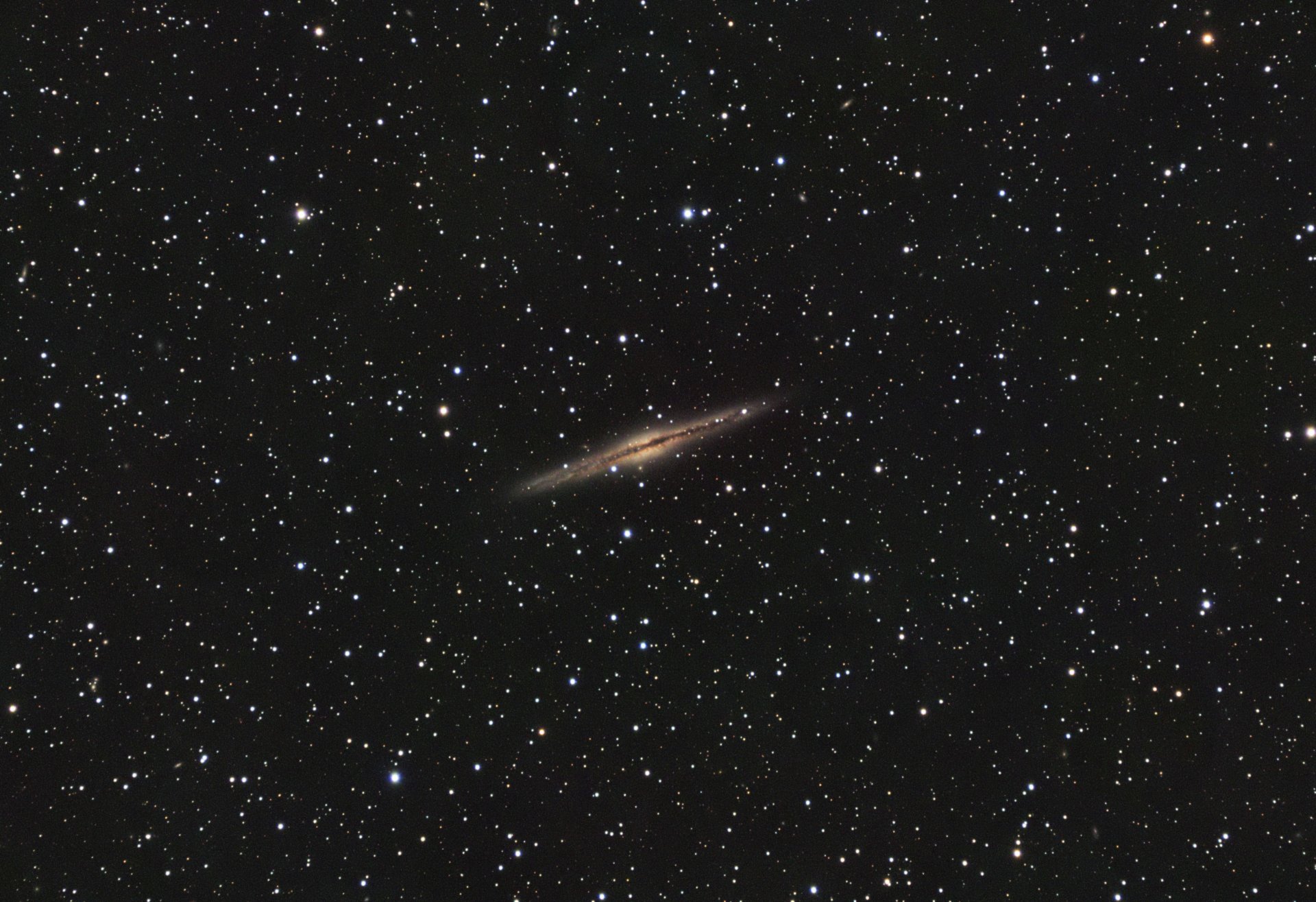 NGC891s.jpg