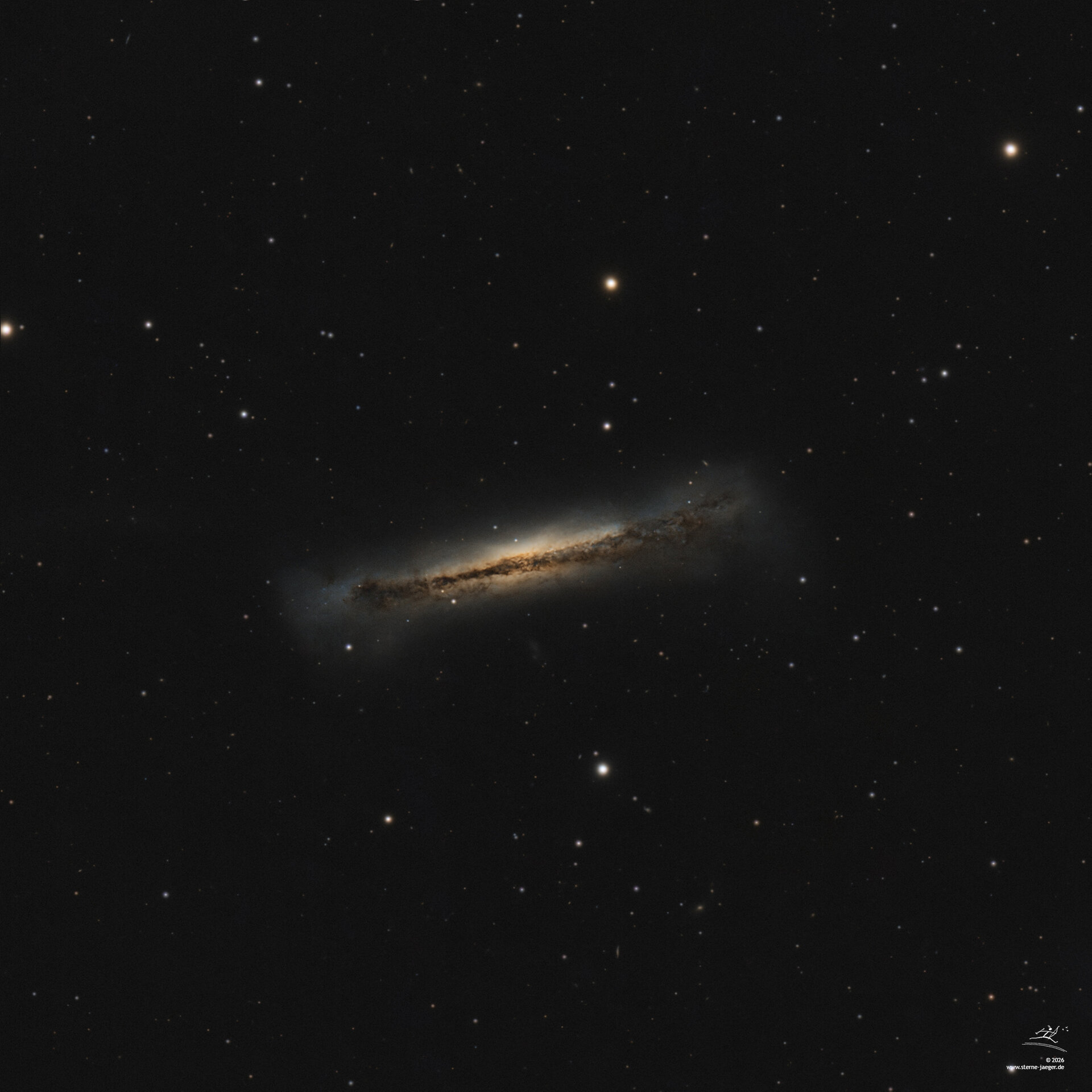NGC_3628_RGB_693min_2026-04-16_V01_web.jpg