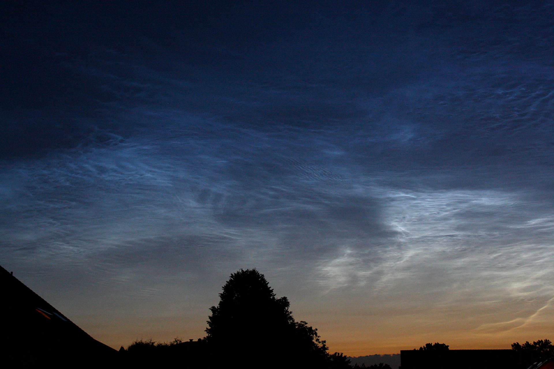 nlc-280624_0013hd1c.JPG