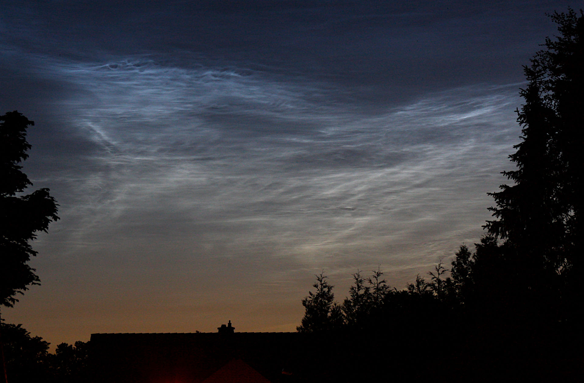 nlc-280624_0019hdgsc.JPG