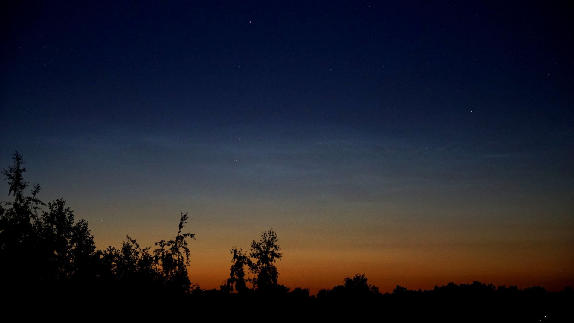 NLC05.jpg