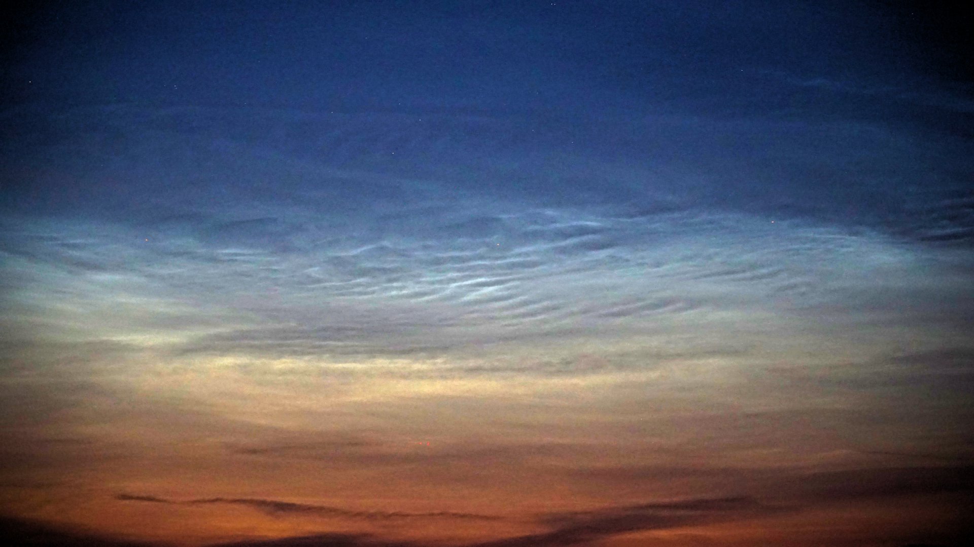 NLC06.jpg