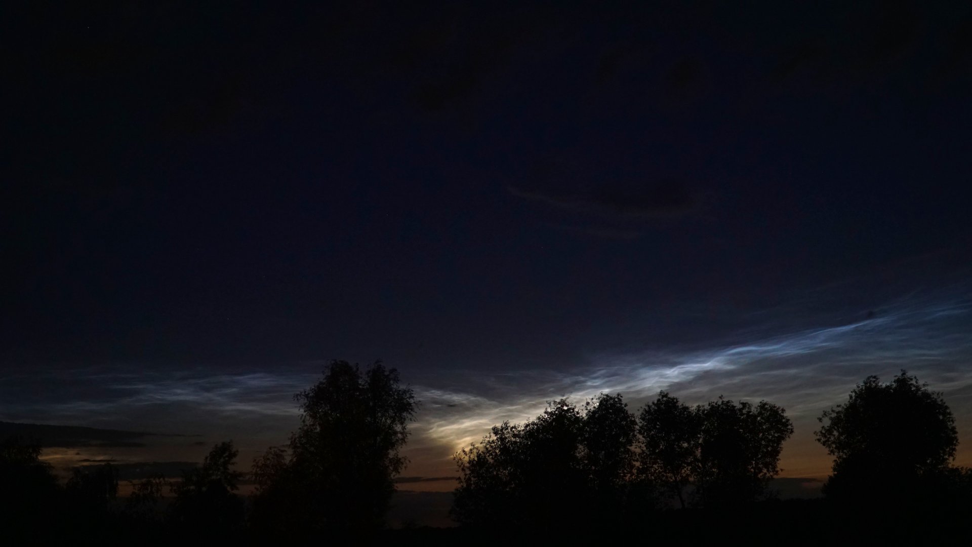 NLC08.jpg