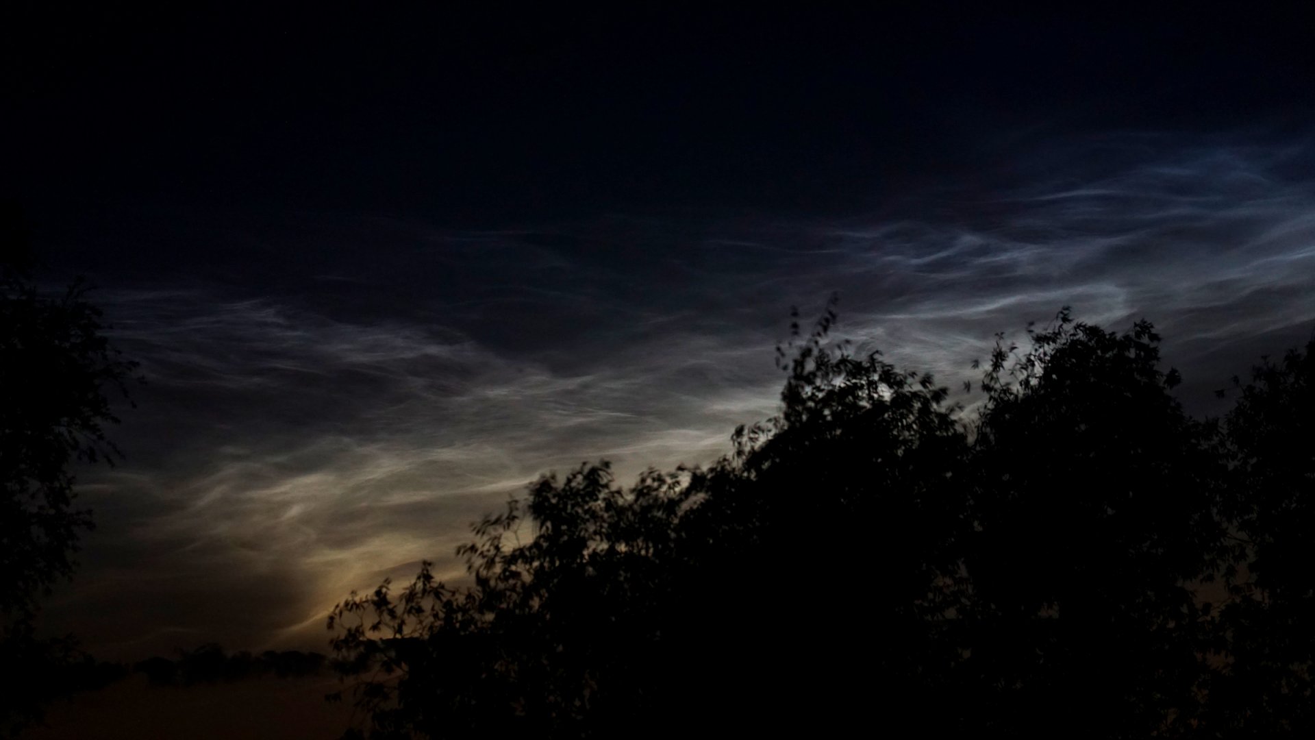 NLC09.jpg