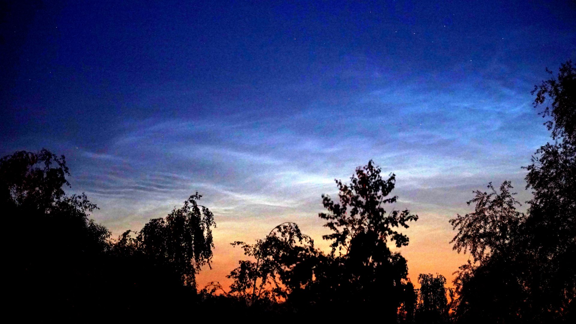 NLC_001.jpg