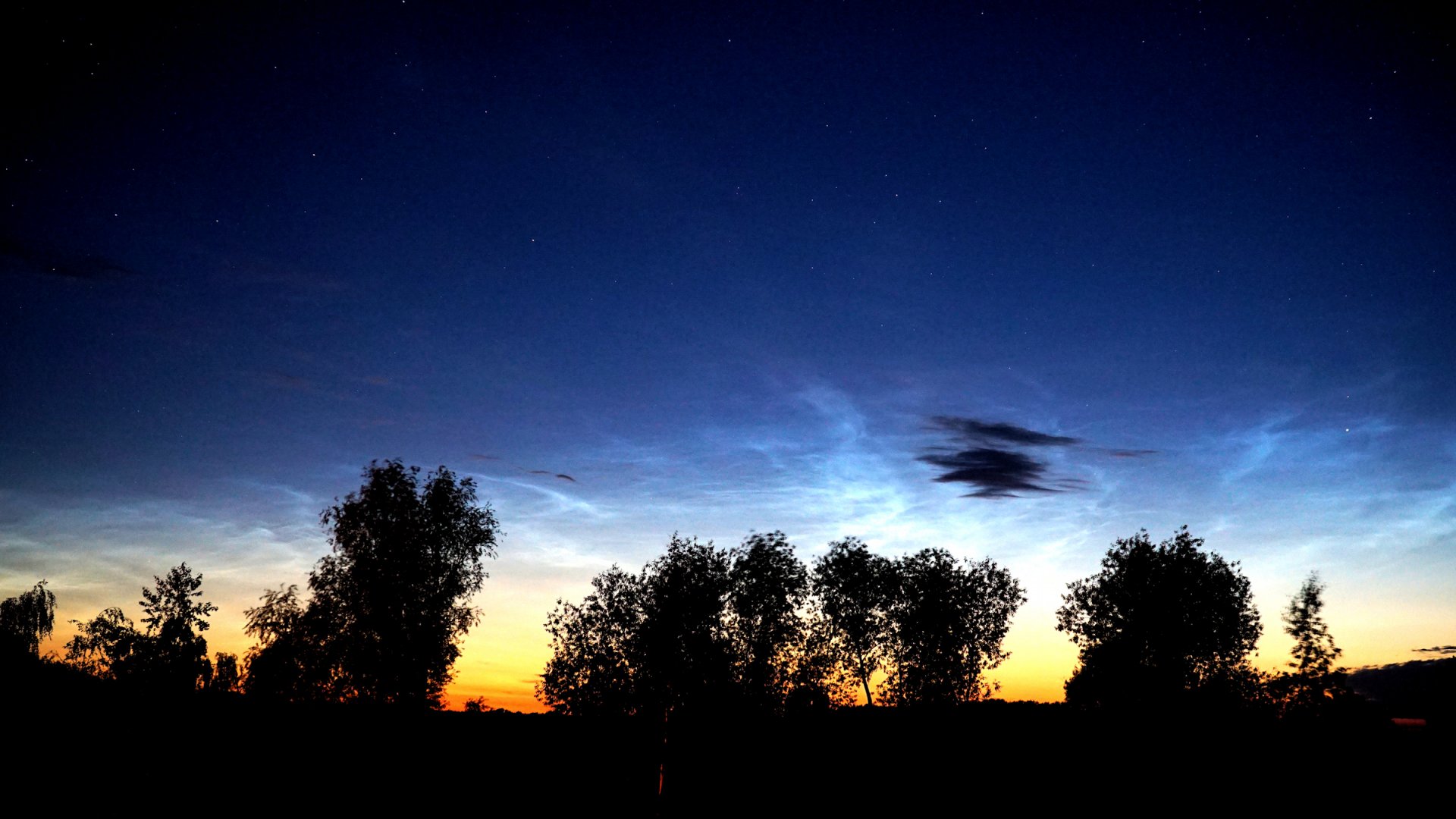 NLC_02.jpg