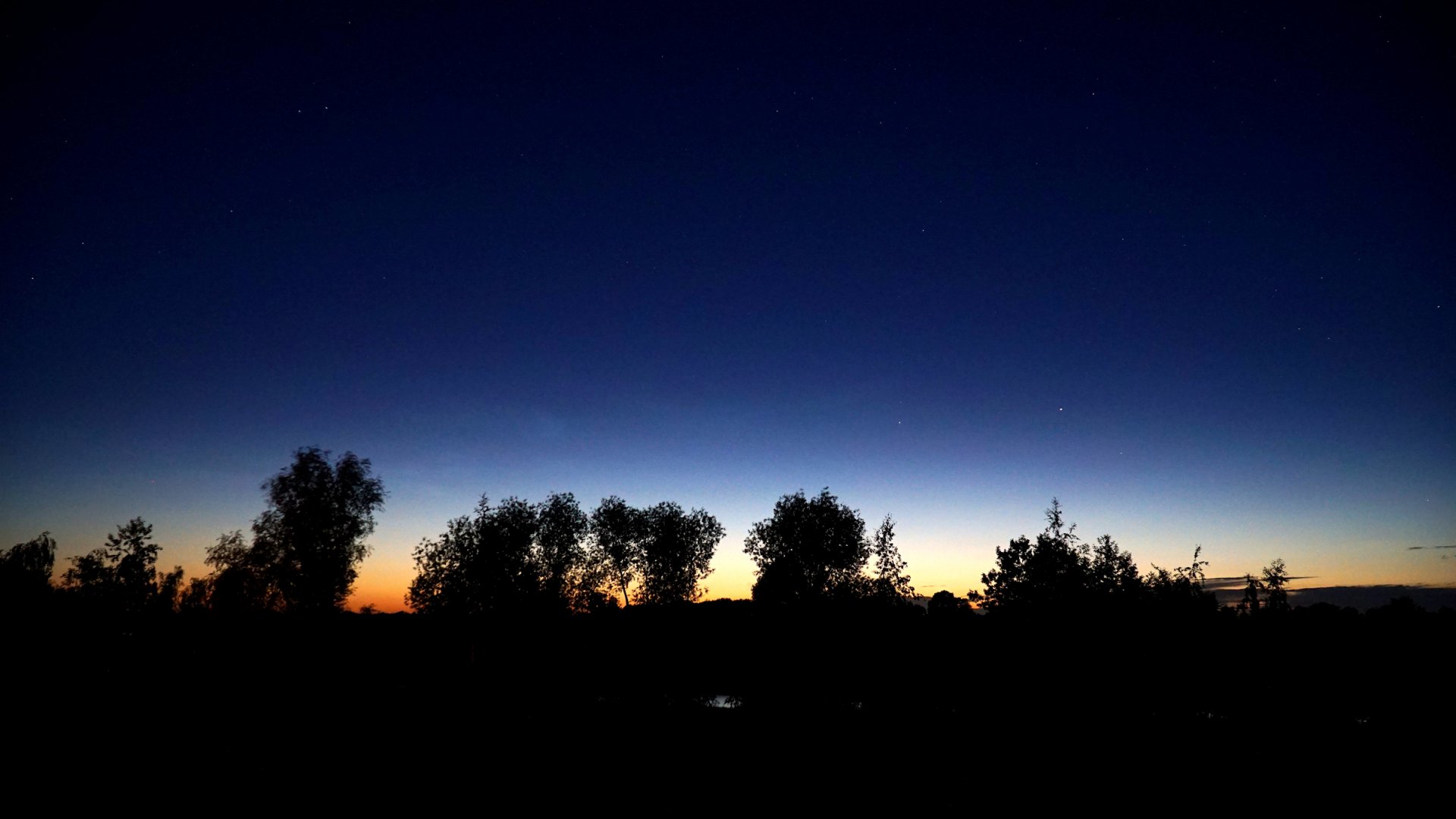 NLC_04.jpg