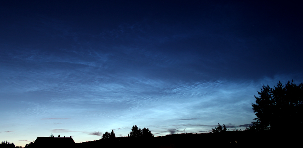 nlc_240628.jpg