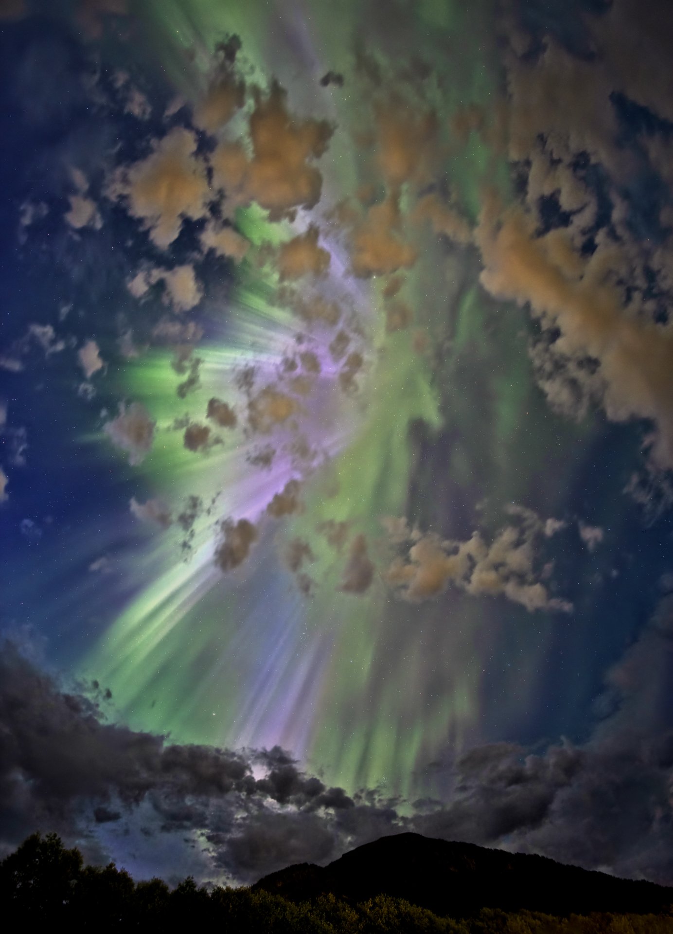 Noorderlicht_13082024_0051UT-bg-v5.jpg