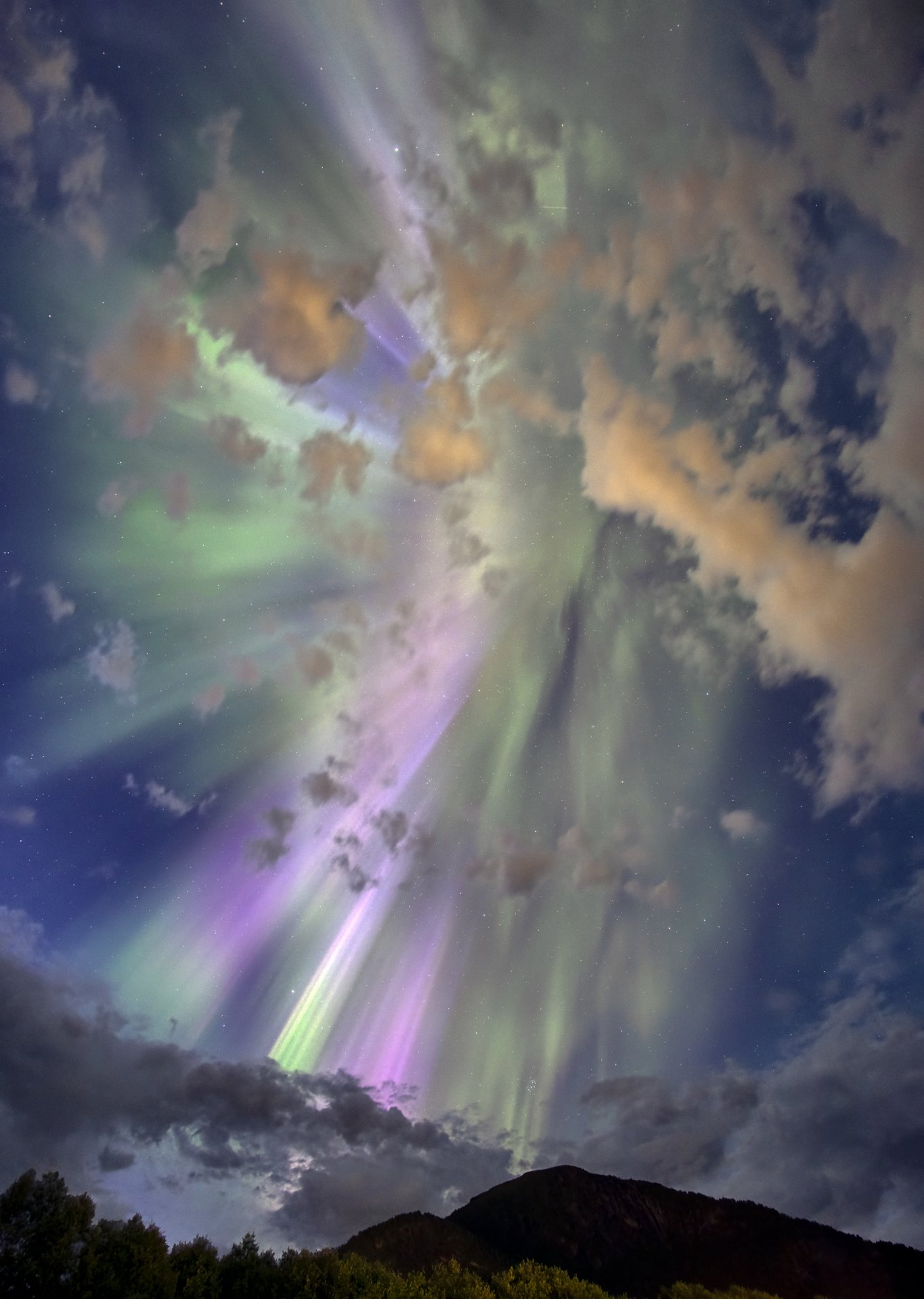 Noorderlicht_13082024_0052UT-bg.jpg