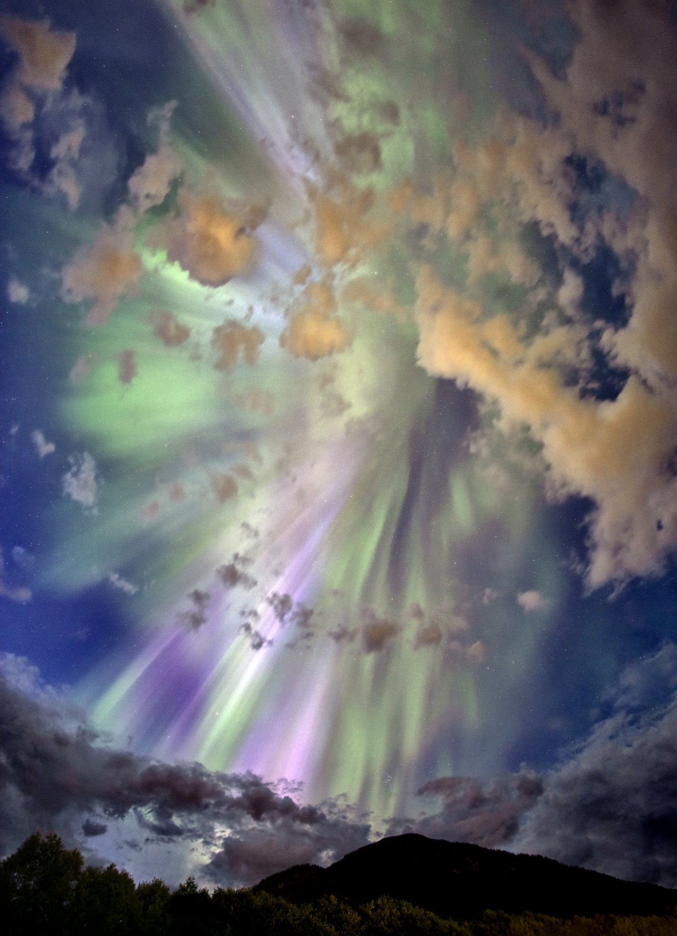 Noorderlicht_13082024_0052UT-bg-v2.jpg