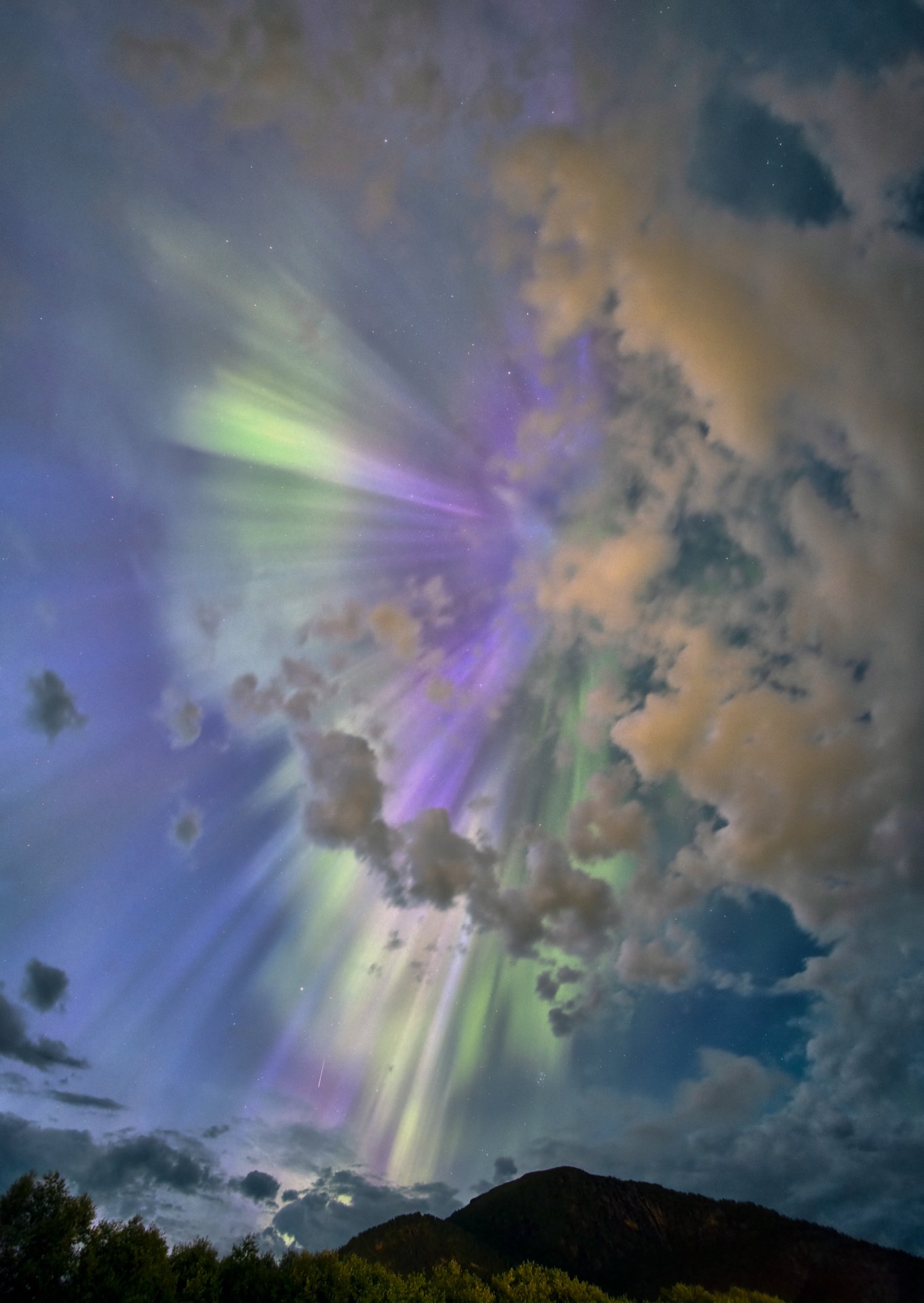 Noorderlicht_13082024_0058UT-bg-v5.jpg