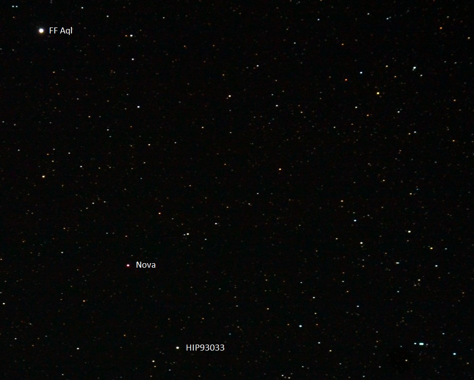 Nova-Herc_14-auf-15-Juni-21_ color300.jpg