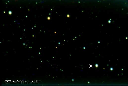 novacas_2021-04-03_2359.jpg