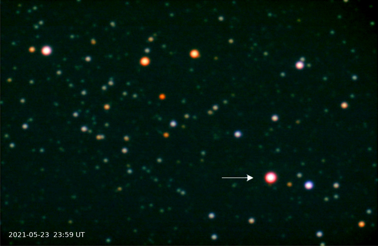 novacas_2021-05-23_2359_c.jpg