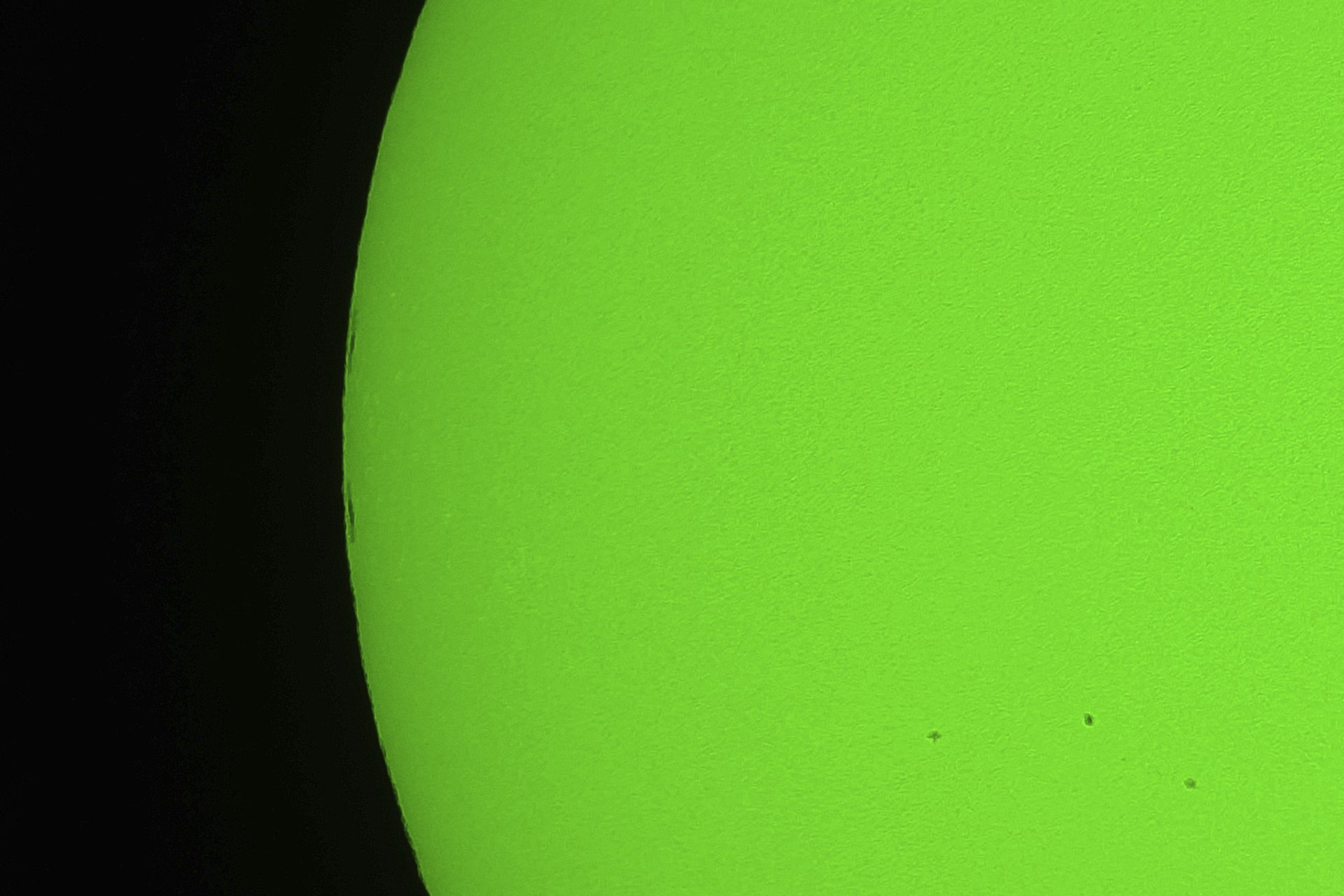 O1000024 1.jpg