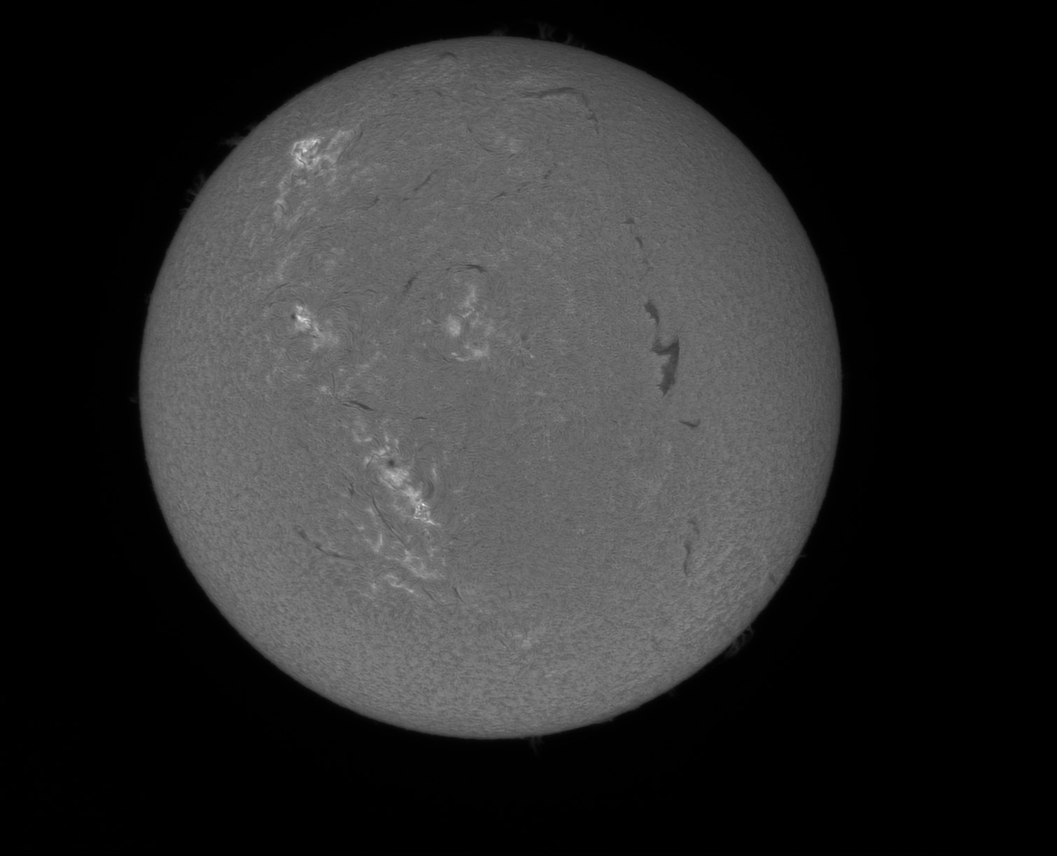 OB 1 Bc 260426.jpg