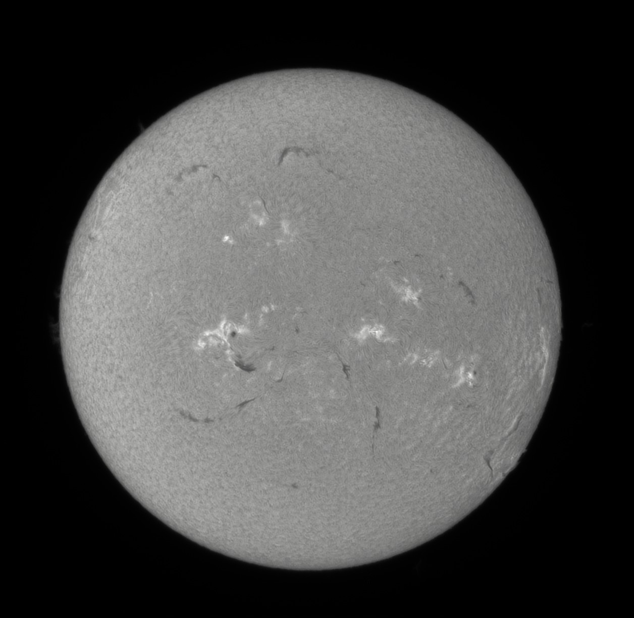 OB 1010826 AB.jpg
