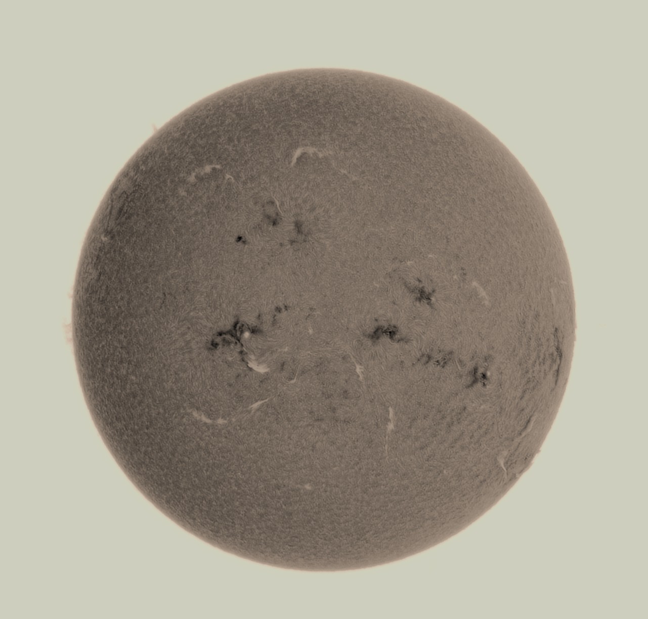 OB 1010826 BC.jpg