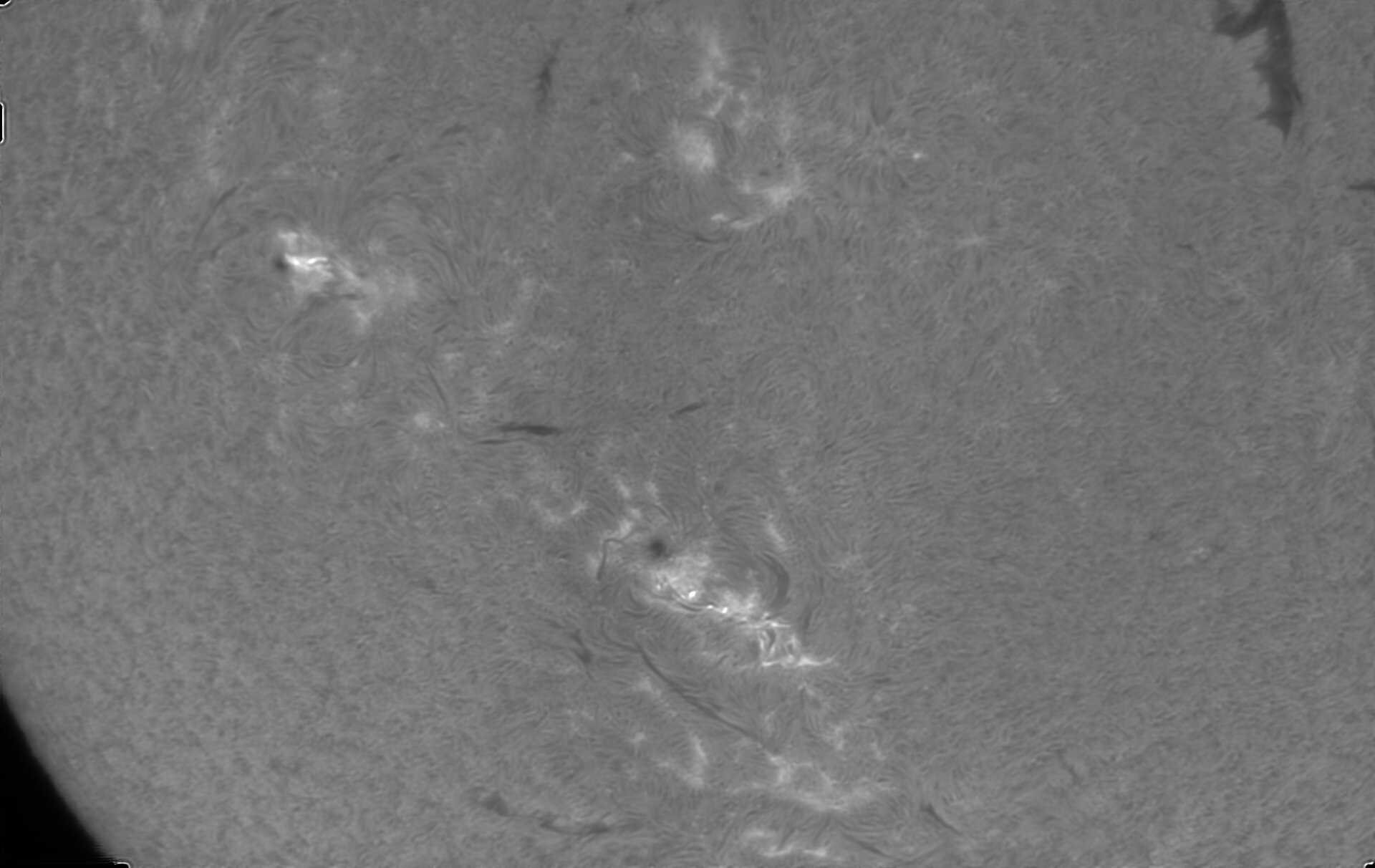 OB 3 Bc 260426.jpg