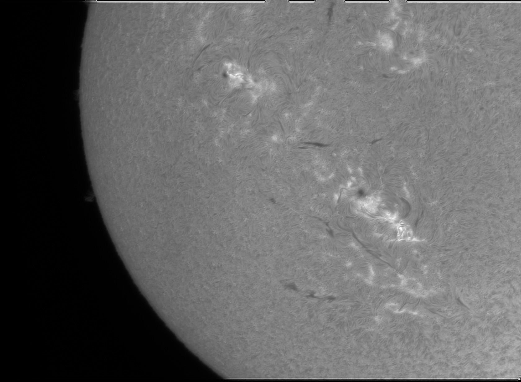OB 7 B260426.jpg